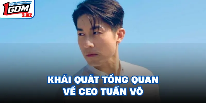 Khái quát tổng quan về CEO Tuấn Võ